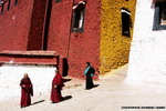 Tibet: Asia's best winter destination?